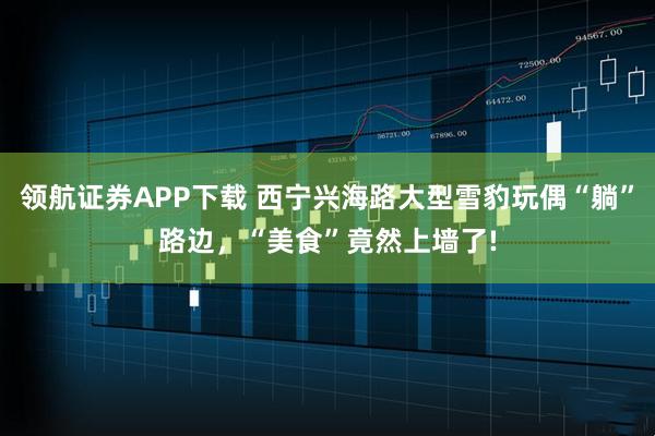 领航证券APP下载 西宁兴海路大型雪豹玩偶“躺”路边，“美食”竟然上墙了!