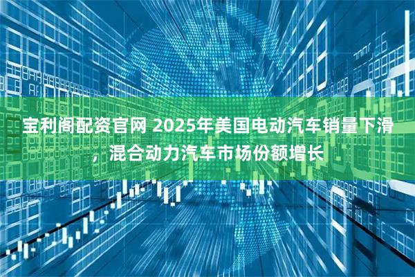 宝利阁配资官网 2025年美国电动汽车销量下滑，混合动力汽车市场份额增长