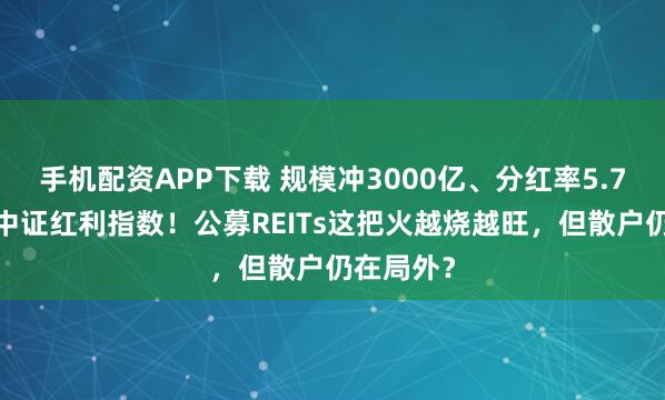 手机配资APP下载 规模冲3000亿、分红率5.73%跑赢中证红利指数！公募REITs这把火越烧越旺，但散户仍在局外？